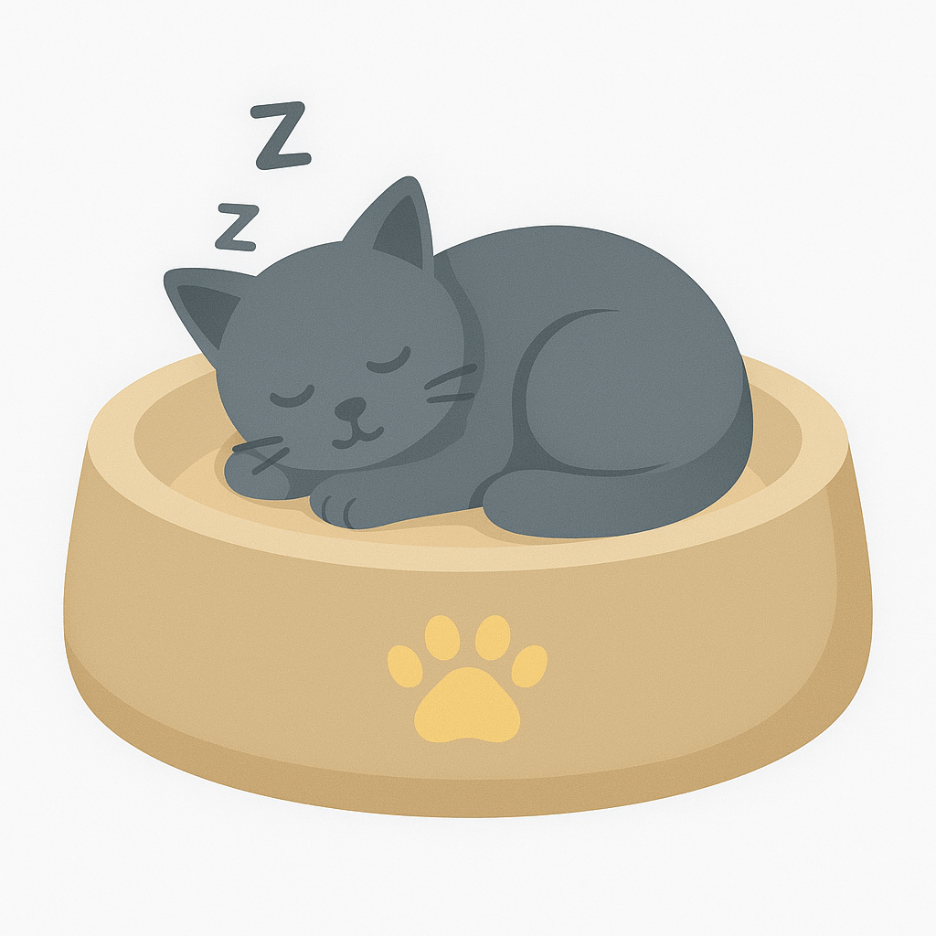 Katzen Schlafplätze - My Store