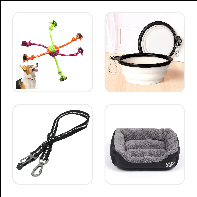 Hund Starterpaket – Essentials (S)